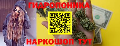 гашик Будённовск