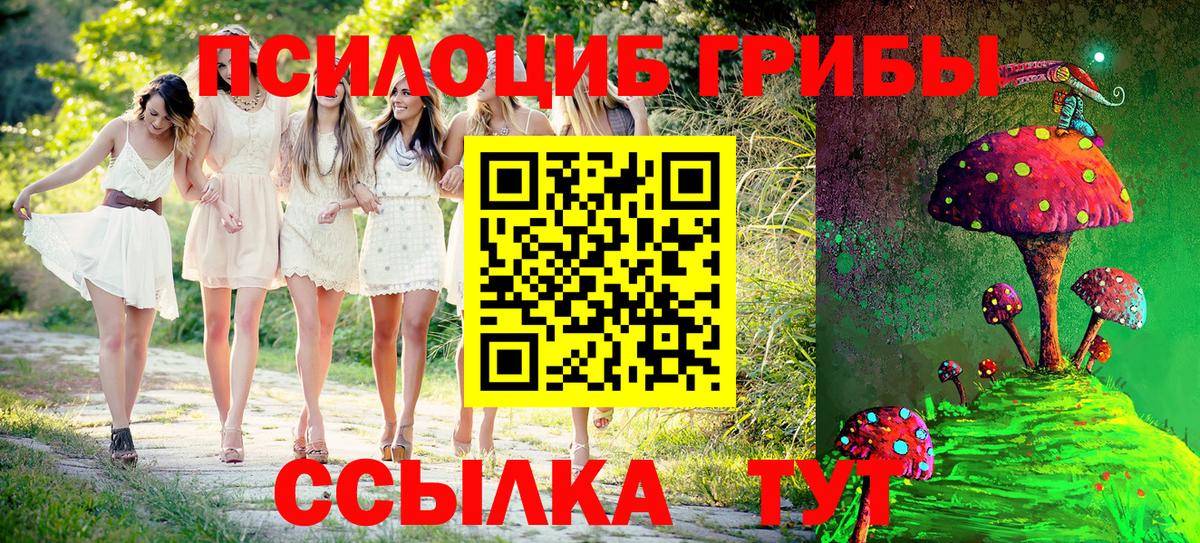 Псилоцибиновые грибы Psilocybine cubensis  Вход с VPN  Крымск  Псилоцибиновые грибы Psilocybine cubensis 